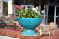 Preview: Planting bowl (frost proof)